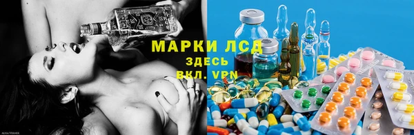 шишки Арсеньев