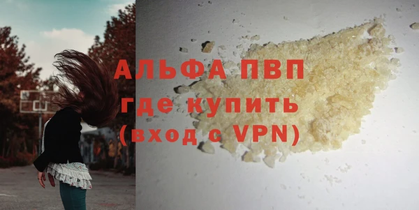 шишки Арсеньев