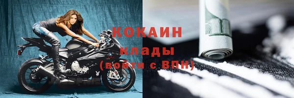 шишки Арсеньев
