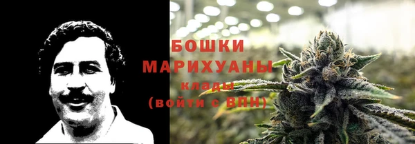 сатива Армянск