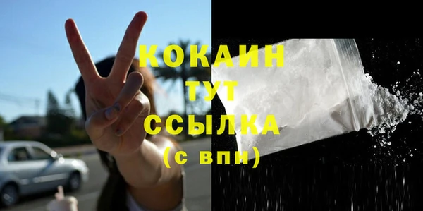 сатива Армянск