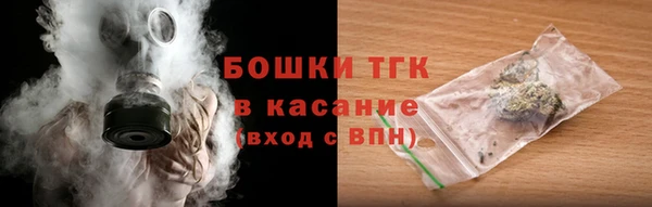 сатива Армянск