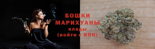 шишки Арсеньев