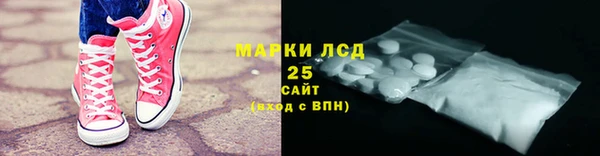 шишки Арсеньев