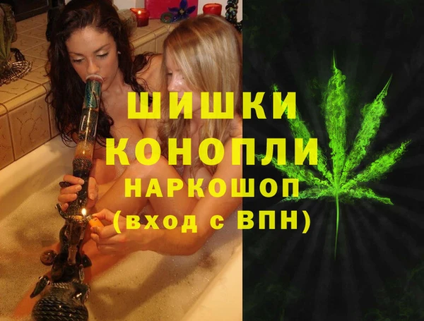 индика Балабаново