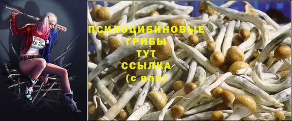 шишки Арсеньев