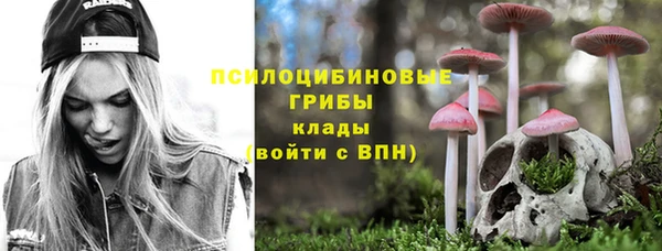 сатива Армянск
