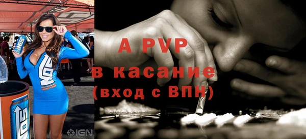 шишки Арсеньев