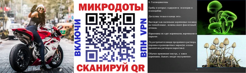 Псилоцибиновые грибы Cubensis Купить закладки Орлов